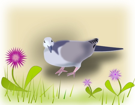 A pigeon and some fantasy flowers の写真素材