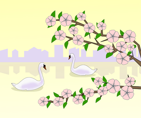 Flowering branches against a background of sunset and the silhouette of a city and two swans swimming in a lake.の写真素材