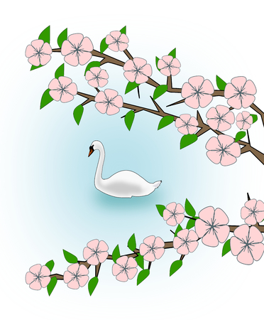 Flowering branches and a swan swimming in a lake.の写真素材