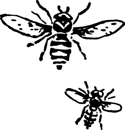 Vintage clipart bee, black and white graphics honey beeの写真素材