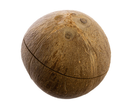 real edible food and drink: side view of whole precutted coconut isolated on white backgroundの写真素材