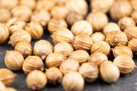 Close up view of true edible spices and seeds: Details of  coriander seeds ( Coriandrum sativum ) with unsharp and sharp areas (DOF)の写真素材