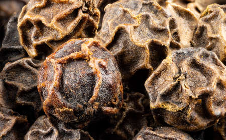 Close up view of true edible spices and seeds: Detail of a black pepper corn - black pepper (Piper nigrum)の写真素材