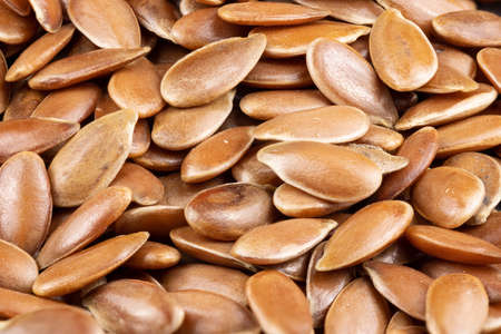 macro of true edible spices and seeds: Details of flex / linseed (Linum usitatissimum) complete sharp image through photo stackingの写真素材