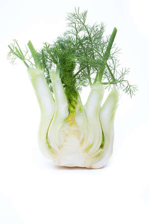 Fennel (Foeniculum vulgare) one halfの写真素材