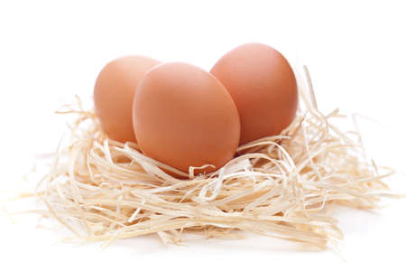 Eggs in a nest isolated on white backgroundの写真素材