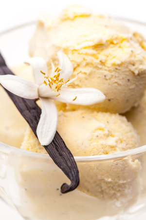 detail of vanilla ice cream sundae with vanilla