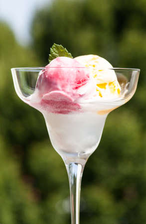 An ice cream sundae with two different types of ice creamの写真素材