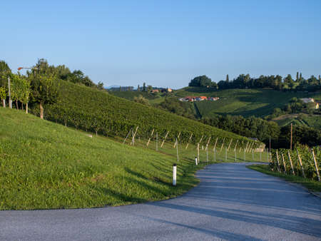 small road between  the  vine yards in the south styrian region called Weinstrasse on a bright sunny day with a klapotetz in the backgroundの写真素材