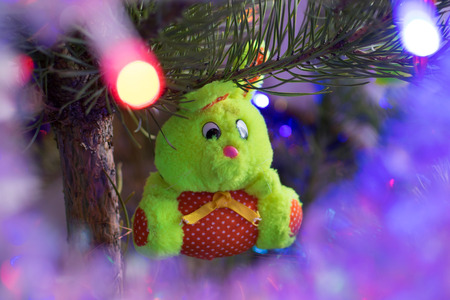 Vintage soft toy on pine at Christmas on the pine at night closeupの写真素材