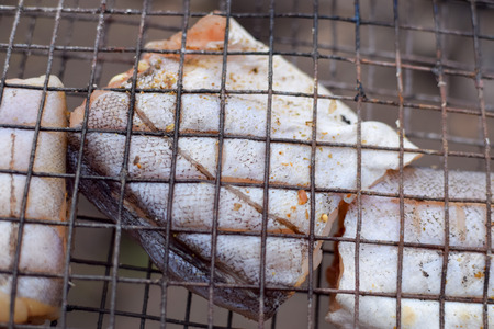 Grilled fish on grid with spicy close-up tasty picnicの写真素材