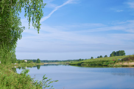 Amazing view of still river under birch with clear sky nature