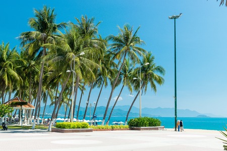 Tropical beach of ocean with palm and lamp in vacation on coast relaxの写真素材