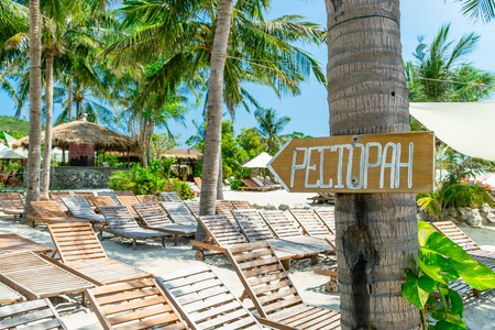 Plenty loungers on sandy beach with palms and pointer on the tree for relaxの写真素材