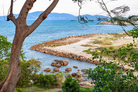 View of abandoned beach with stones from green thicketsの写真素材
