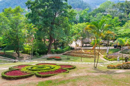Magnificent tropical park with palm trees and flowers in Dalat Vietnamの写真素材