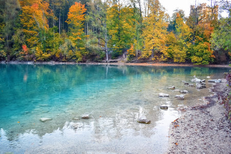 Reflections of autumn forest in clear water in a lake with stones on shore