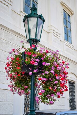 Big pink flower on metal pole with a lantern on a street of Europeの写真素材