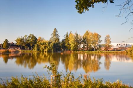 Mirror reflection of trees with yellow leaves in lake at autumnの写真素材