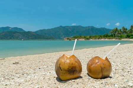 Ripe coconuts with drinking white straws on sand at the beach in tropics on vacationの写真素材