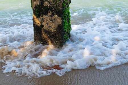 Concrete pillar with green moss and waves in seaの写真素材