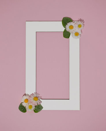 Simple white photo frame with daisies on pink pastel background.