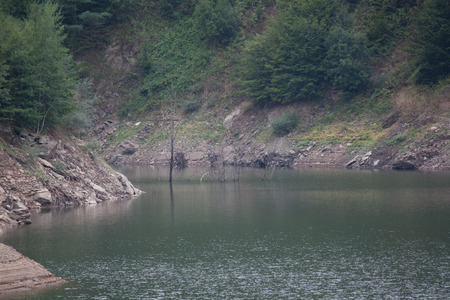 Bays on the lakeの写真素材