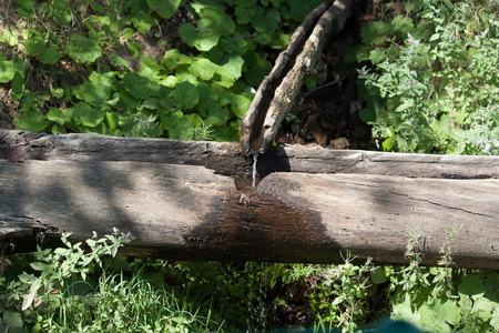 Spring water from the tapの写真素材