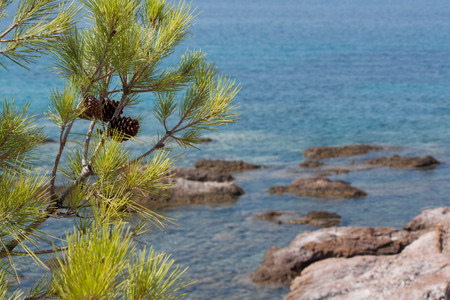Rocks at seaの写真素材
