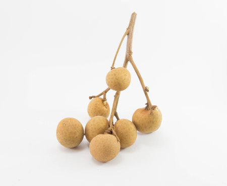 longan on white backgroundの写真素材