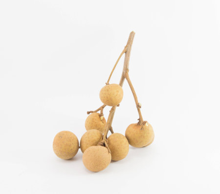 longan on white backgroundの写真素材