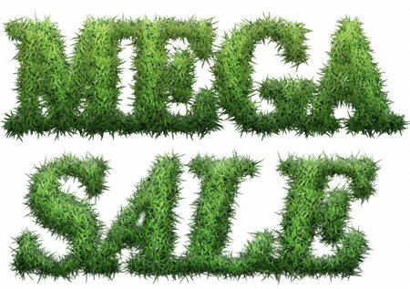 Mega Sale text made of grass. isolated on a white background. 3D illustrationの写真素材