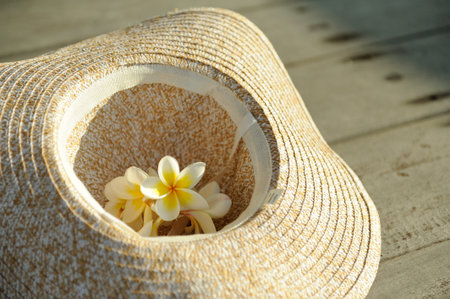 flower in the hat の写真素材