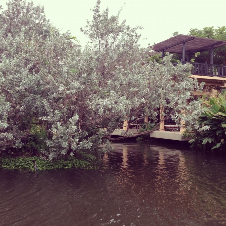 tree branch and modern house
のeditorial素材