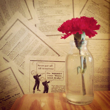 red flower in a glassの写真素材