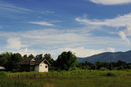 modern house grass fieldの写真素材