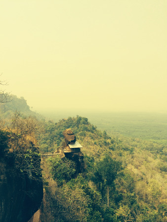 Alone temple in the forestの写真素材
