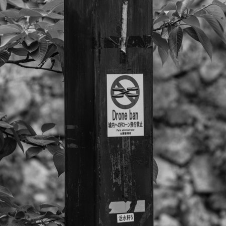 Sign with Drone Ban lettering, written in english and japanese words.