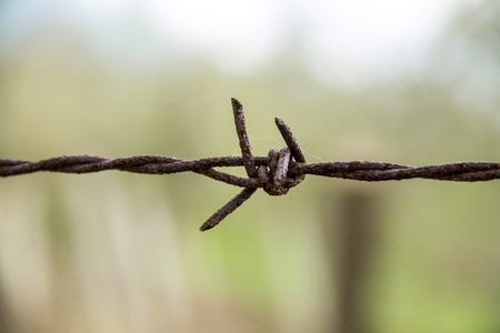 Barbed wire. Barbed wire on fence with blue sky to feel worrying.の写真素材