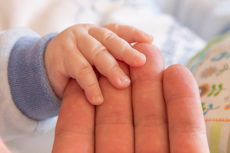 Children's hand holds a large hand, raising children, love for their children, the birth of a son, a small child's handの写真素材