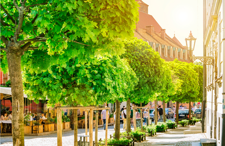 The sun illuminates the green trees with light, the architecture of the city, the streets of Wroclaw, Polandのeditorial素材