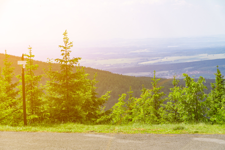 Asphalt road in the forest on the mountain, lit by the sun, the sun pierces the wood with its rays, the landscape in the forestの写真素材