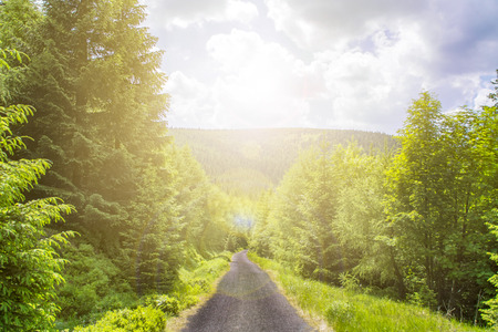 Asphalt road in the forest on the mountain, lit by the sun, the sun pierces the wood with its rays, the landscape in the forestの写真素材