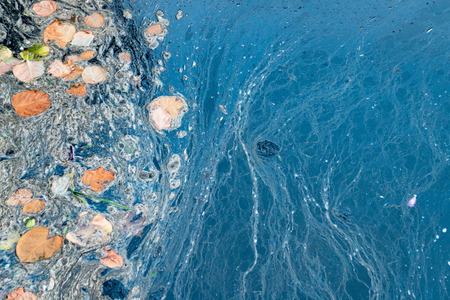 Old stagnant water in the lake, mud floating on the water, environmental disaster, the texture of mud on theの写真素材