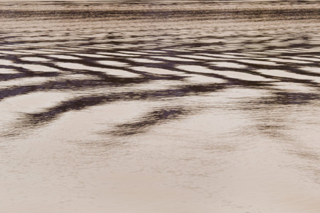 Background of the water, the river close-up, water, waves