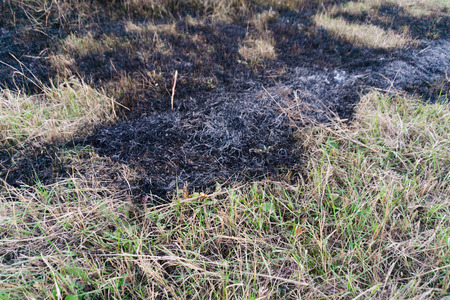 Closeup arson and burned dry grass backgroundの写真素材