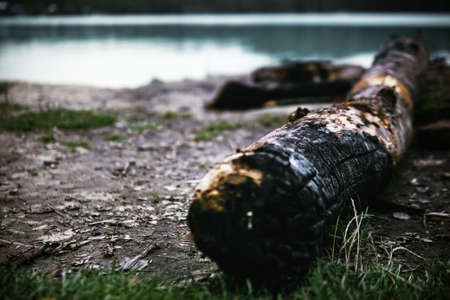 A large log lies on the shore. Burning fire on the beach. Beach. relaxationの写真素材