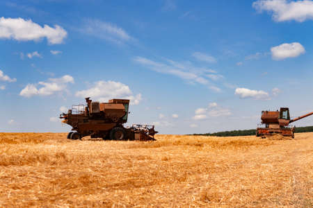 The harvester harvests wheat on the field. Agriculture. Summer landscapeの写真素材
