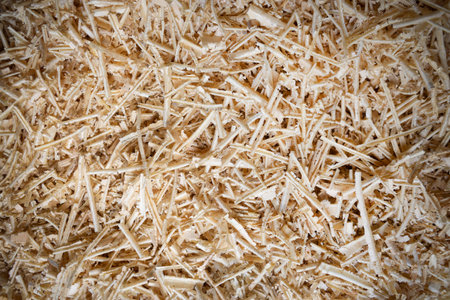 Sawdust or wood dust texture background. Oblong sawdust after woodworking. Wood background