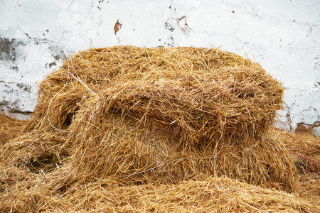 Big pile of dry hay on a farmの写真素材